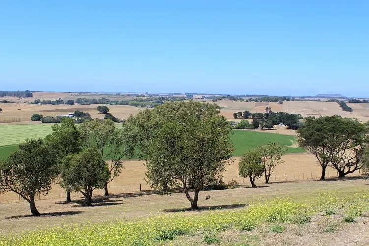 South Australia countryside.