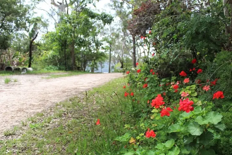 Enjoy a Sydney day trip to car-free Dangar Island in the Hawkesbury River. Relax on Bradleys Beach, eat at Dangar Island Cafe and hike through the forest.