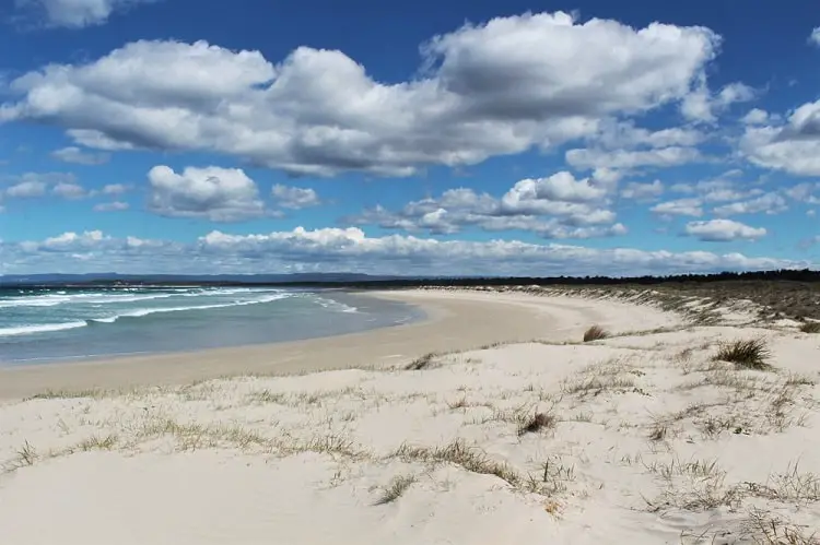 Discover Booderee National Park, Jervis Bay NSW. Enjoy camping, hiking and beautiful beaches like Murrays Beach and Green Patch Beach.