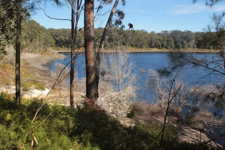 Discover Booderee National Park, Jervis Bay NSW. Enjoy camping, hiking and beautiful beaches like Murrays Beach and Green Patch Beach.