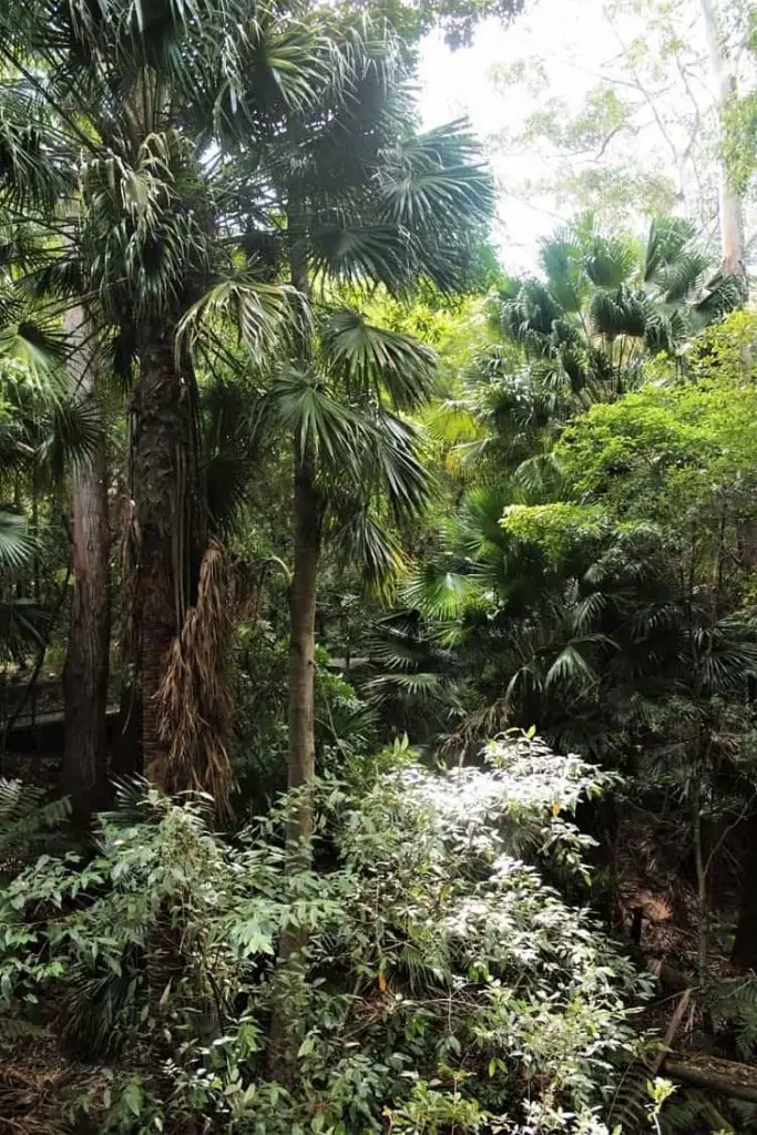 Discover Booderee National Park, Jervis Bay NSW. Enjoy camping, hiking and beautiful beaches like Murrays Beach and Green Patch Beach.