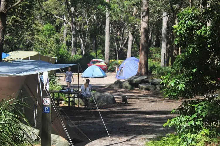 Discover Booderee National Park, Jervis Bay NSW. Enjoy camping, hiking and beautiful beaches like Murrays Beach and Green Patch Beach.