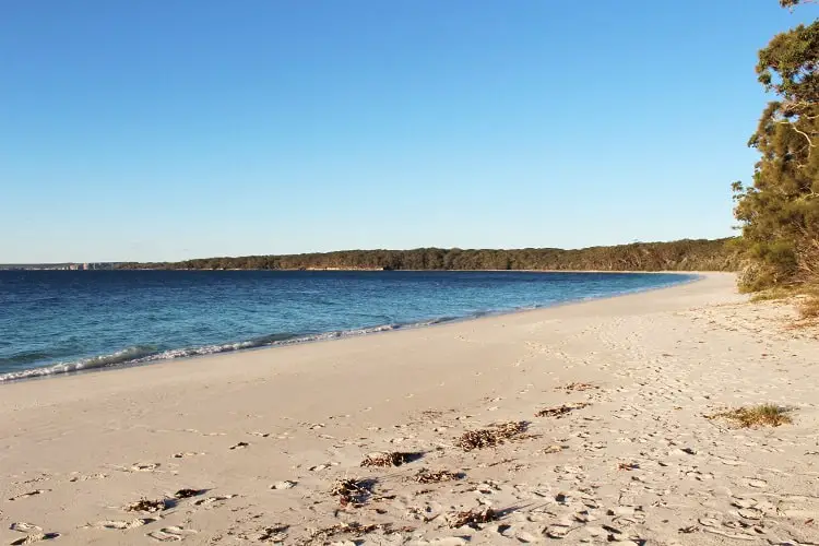 Discover Booderee National Park, Jervis Bay NSW. Enjoy camping, hiking and beautiful beaches like Murrays Beach and Green Patch Beach.