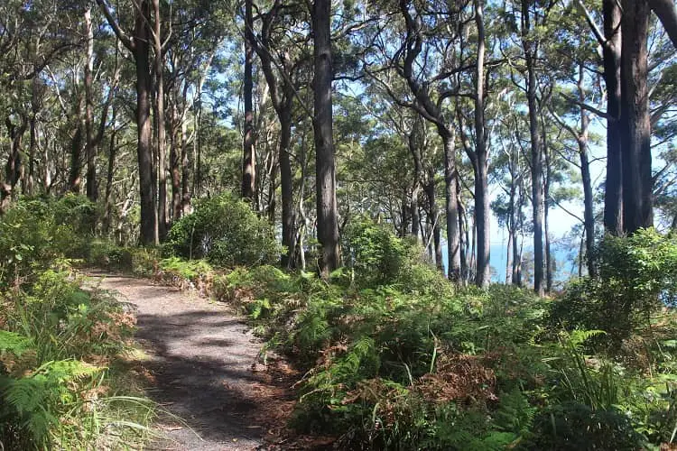 Discover Booderee National Park, Jervis Bay NSW. Enjoy camping, hiking and beautiful beaches like Murrays Beach and Green Patch Beach.