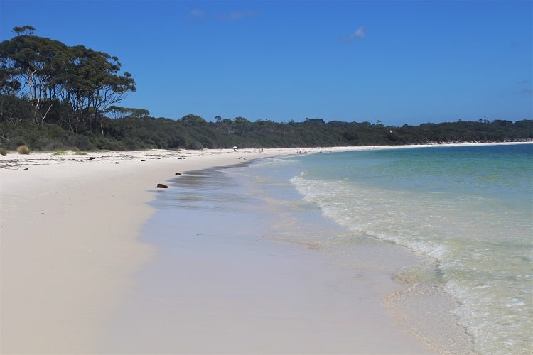 Discover Booderee National Park, Jervis Bay NSW. Enjoy camping, hiking and beautiful beaches like Murrays Beach and Green Patch Beach.