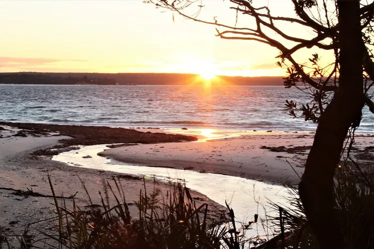 Discover Booderee National Park, Jervis Bay NSW. Enjoy camping, hiking and beautiful beaches like Murrays Beach and Green Patch Beach.