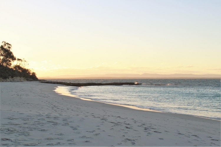 Discover Booderee National Park, Jervis Bay NSW. Enjoy camping, hiking and beautiful beaches like Murrays Beach and Green Patch Beach.