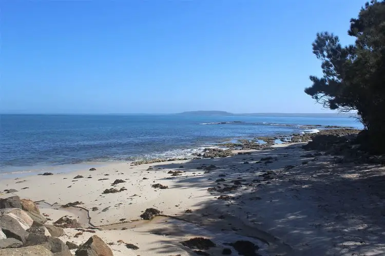 Discover Booderee National Park, Jervis Bay NSW. Enjoy camping, hiking and beautiful beaches like Murrays Beach and Green Patch Beach.