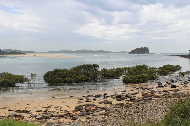 Rocky beach at Minnamurra River, Australia.