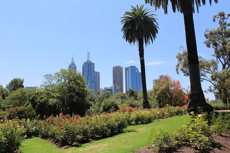 Royal Botanic Gardens Melbourne, with the city skyscrapers behind the trees.