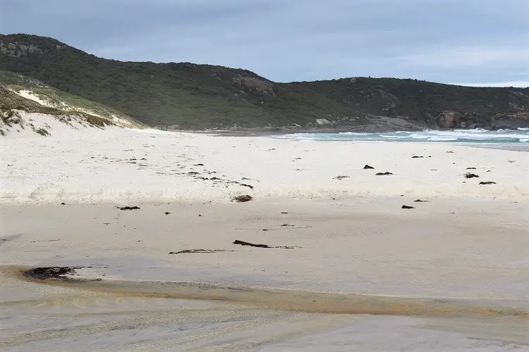 Squeaky white sand at Squeaky Beach in Victoria.