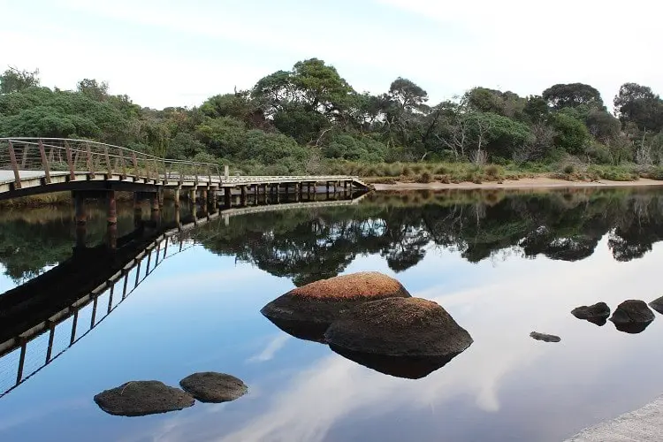 Tidal River bridge, Victoria.