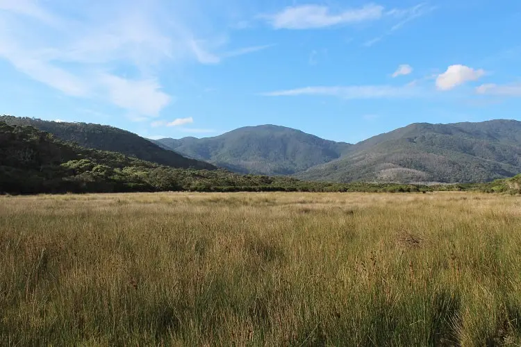 The Top Attractions in Stunning Wilsons Promontory National Park, Victoria