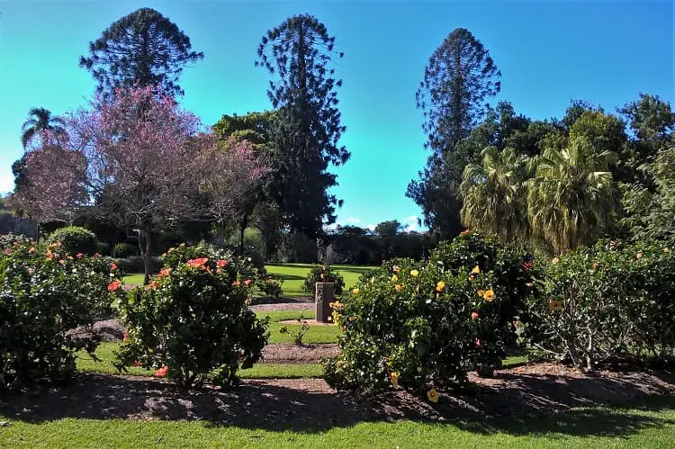 City Botanic Gardens in Brisbane - one of many attractions if you're moving to Brisbane, Australia.