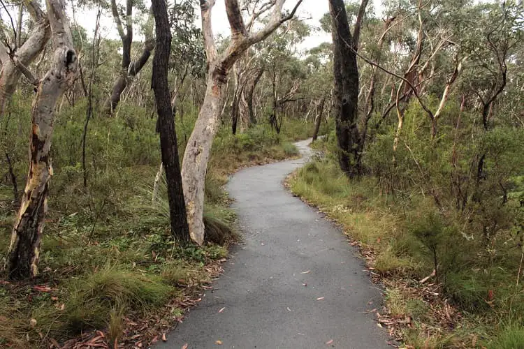 Govetts Leap walk Blackheath.