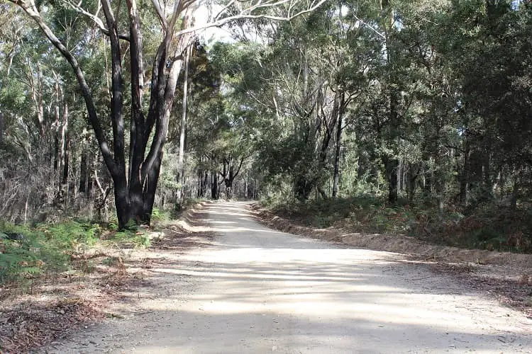 Driving to Haycock Point, Ben Boyd National Park. One of the attractions in Eden NSW.