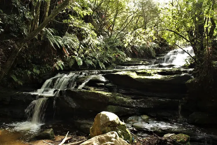 Leura Cascades: short Blue Mountains walks.