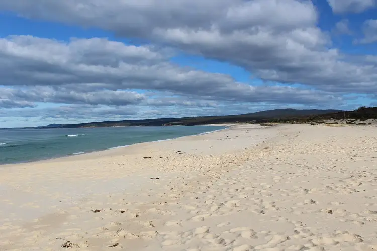 Long Beach at Haycock Point, Ben Boyd National Park. One of the attractions in Eden NSW.