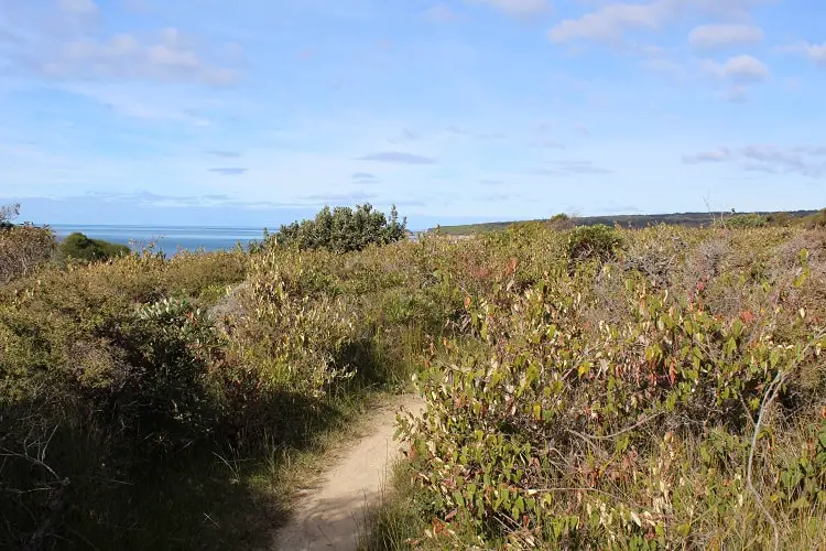 The Pinnacles loop walk, Ben Boyd National Park. One of many scenic attractions in Eden NSW.