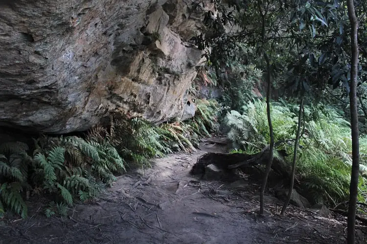 Prince Henry Cliff Walk Blue Mountains New South Wales.