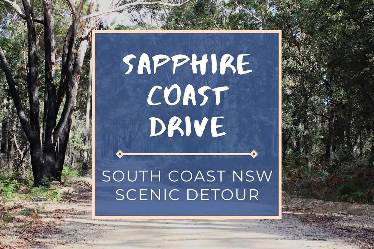 Ditch the highway & take the stunning Sapphire Coast drive NSW! Discover beautiful beaches, forested roads & coastal scenery from Merimbula to Bermagui.Ditch the highway & take the stunning Sapphire Coast drive NSW! Discover beautiful beaches, forested roads & coastal scenery from Merimbula to Bermagui.