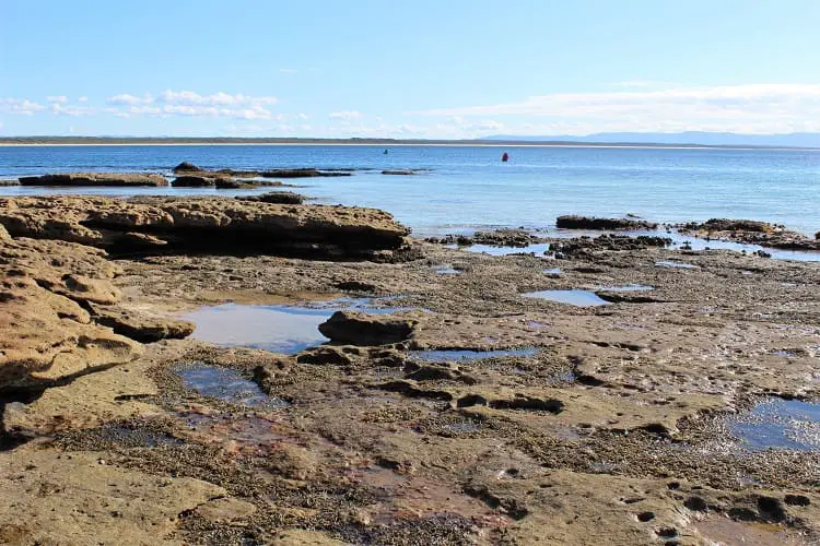 Blog post on things to do at Beecroft Peninsula in Jervis Bay, NSW, Australia.