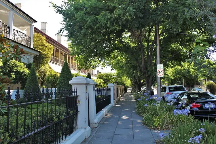 A beautiful residential street in Adelaide with heritage real estate.