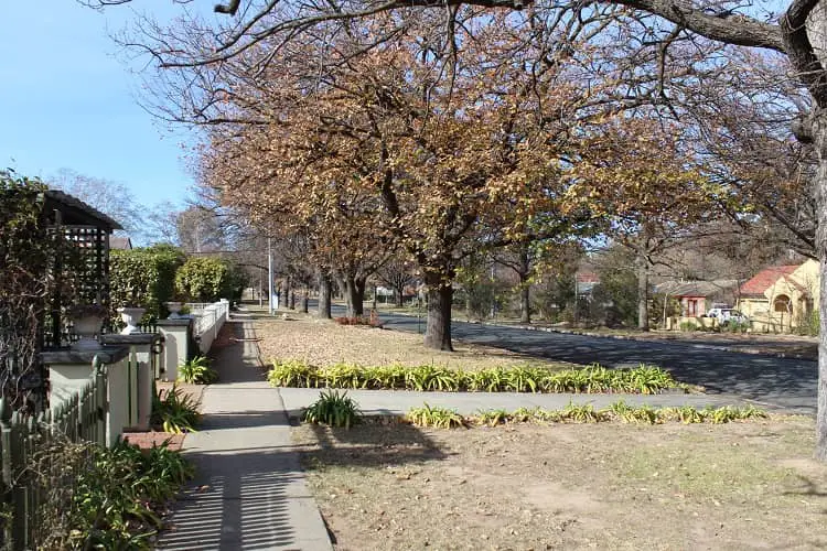 A typical residential street in Canberra.