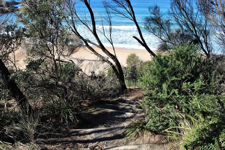 Emily Miller Beach in Murrararang National Park