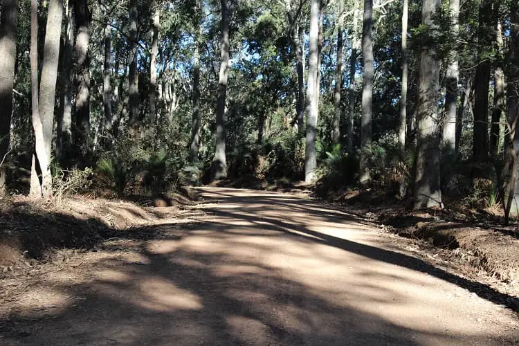 Driving through beautiful Murramarang National Park near Batemans Bay NSW. Discover what to see in this coastal wilderness.