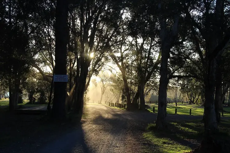 Myall River Camp New South Wales.