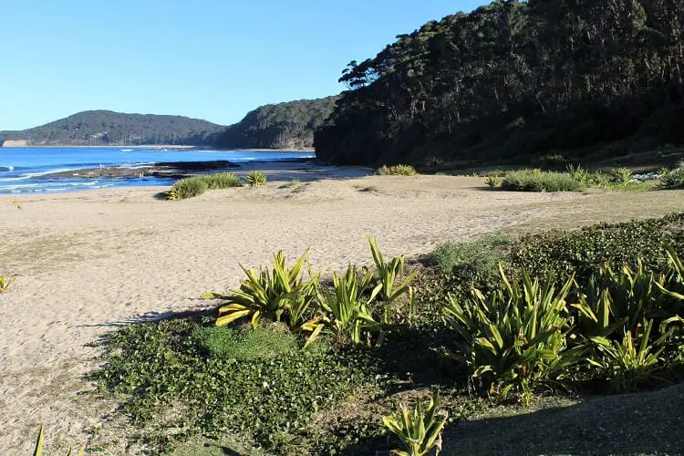 Gorgeous Pebbly Beach, New South Wales.