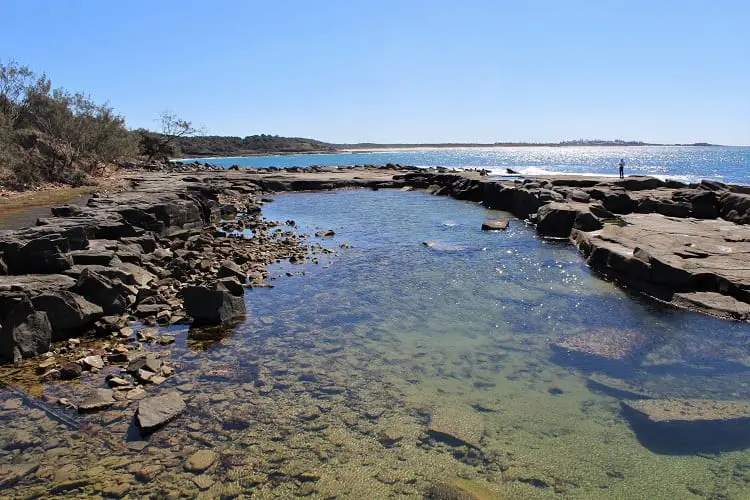 Rock pool on Angourie coastline between the Blue Pool and Green Pool.