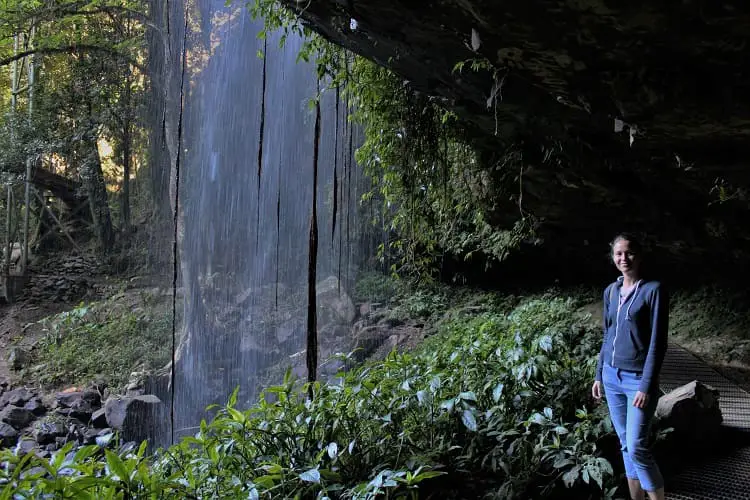 Standing behind Crystal Shower Falls, Dorrigo National Park.