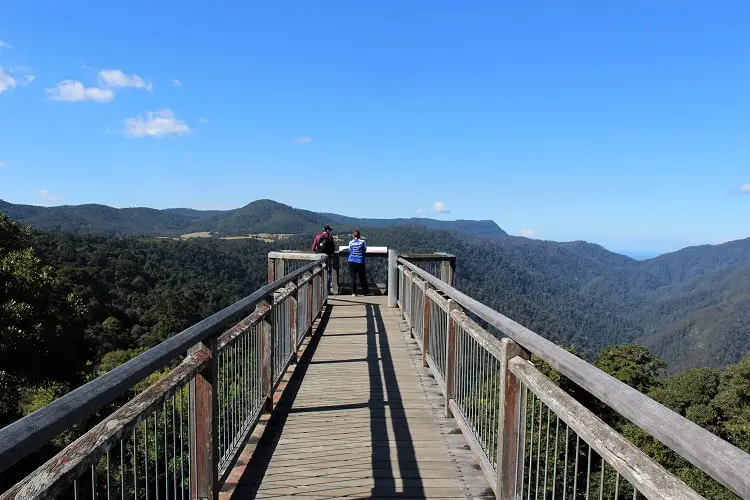 Skywalk at Dorrigo Rainforest Centre.