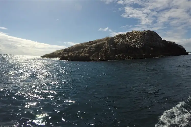 Fish Rock at South West Rocks.