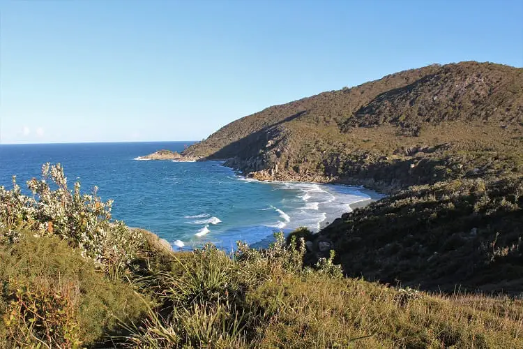 Coastal view at Trial Bay lookout, New South Wales.