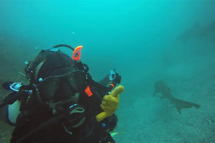 Diving Fish Rock Cave: one of many things to do in South West Rocks.