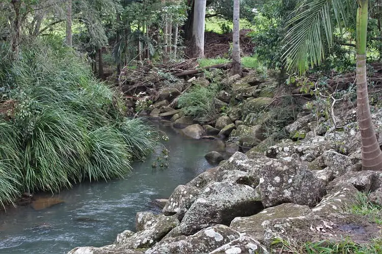 Pretty Bangalow weir.