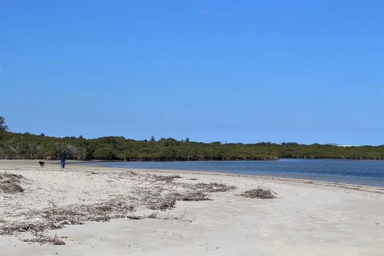 Dog walking at Bonna Point at the end of Silver Beach in Kurnell, Sydney.