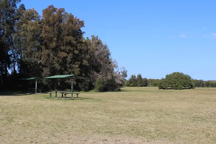 Bonna Point Reserve behind dog-friendly Silver Beach in Kurnell.