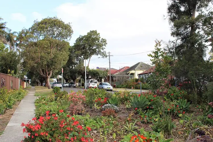 Pretty residential street in Concord - an affordable Sydney suburb for families.