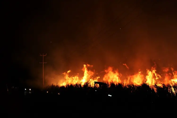 Controlled burning in Yamba NSW.