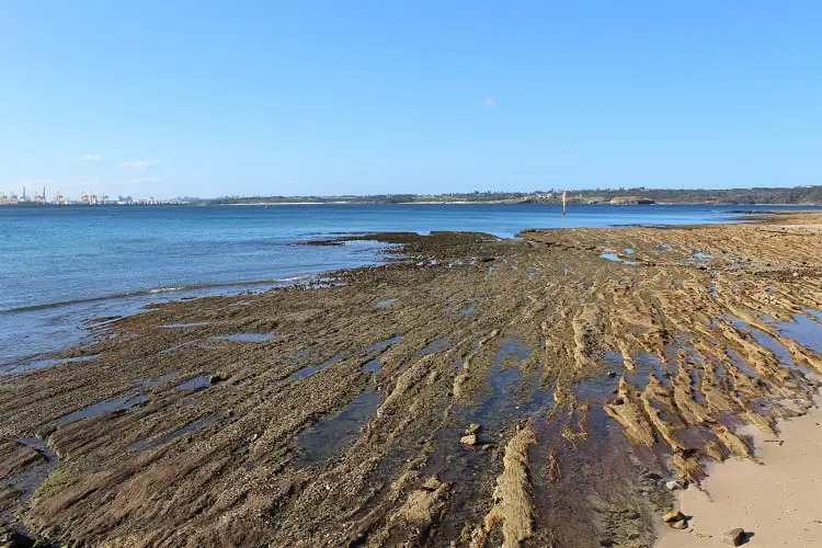 Rocky coastal scenery in Kurnell near Captain Cook's landing place in Sydney.