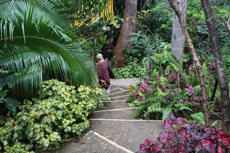 Beautiful gardens at the Rainbow Temple, NSW.