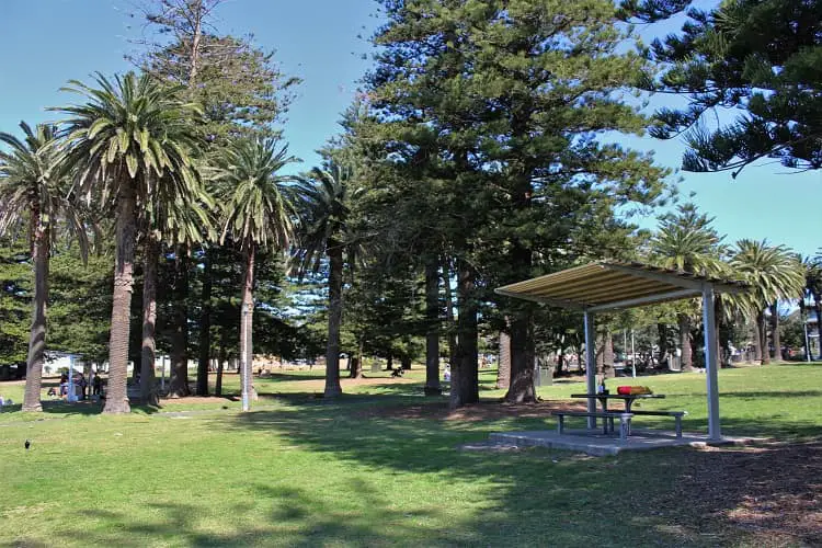 Shelly Park picnic facilities in Cronulla.