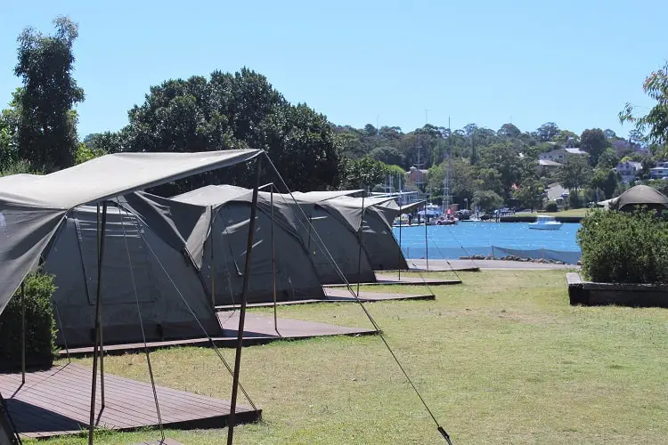 Tents lined up by Sydney Harbour for camping at Cockatoo Island!