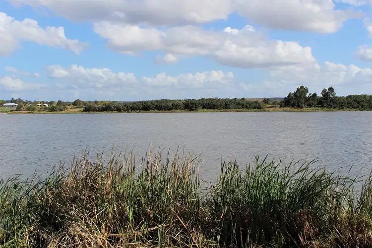 The banks of the Clarence River in Grafton Australia.