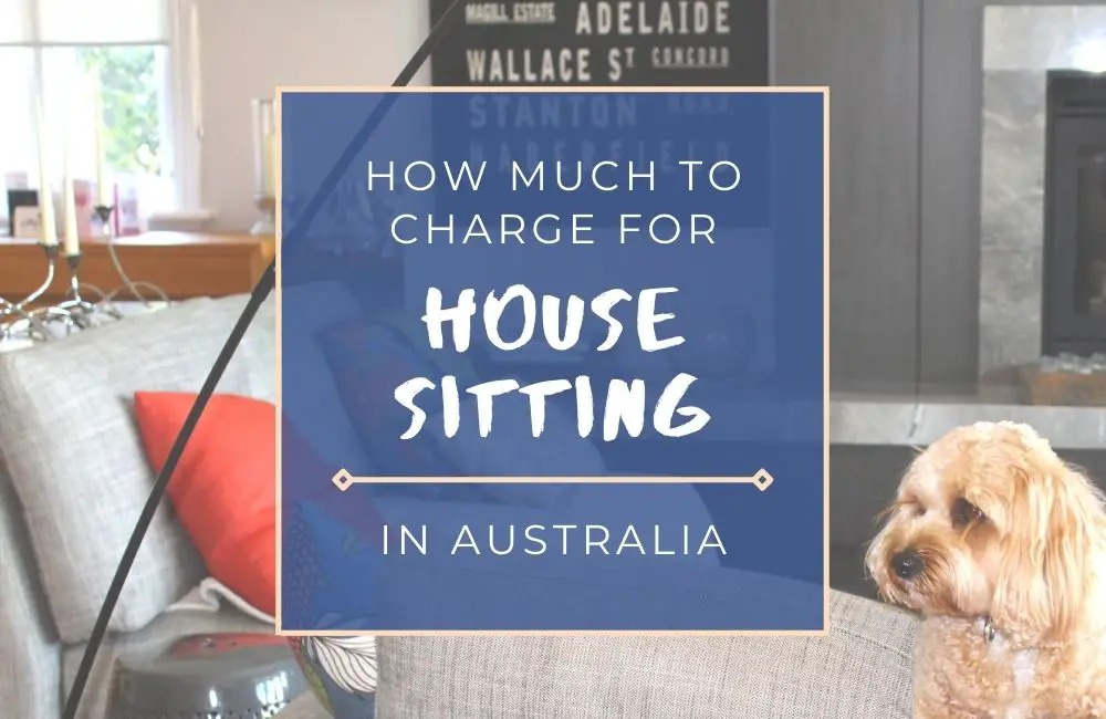 How Much to Pay for House Sitting in Australia with Pets