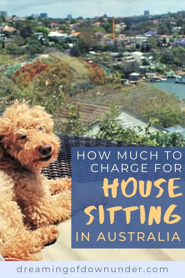 house sitting rates